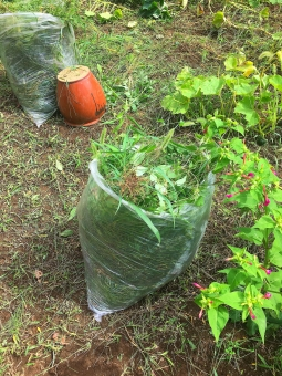 草むしり 中小企業の社長 二世経営者が銀行から融資を受ける方法 融資プロ